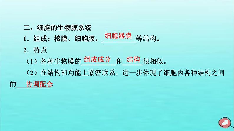 新教材2023年高中生物第3章细胞的基本结构第2节细胞器之间的分工合作（课件+夯基提能作业）新人教版必修107