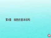 新教材2023年高中生物第3章细胞的基本结构第3节细胞核的结构和功能（课件+夯基提能作业）新人教版必修1