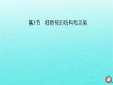 新教材2023年高中生物第3章细胞的基本结构第3节细胞核的结构和功能（课件+夯基提能作业）新人教版必修1