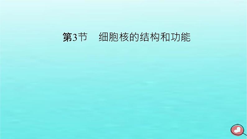 新教材2023年高中生物第3章细胞的基本结构第3节细胞核的结构和功能（课件+夯基提能作业）新人教版必修102