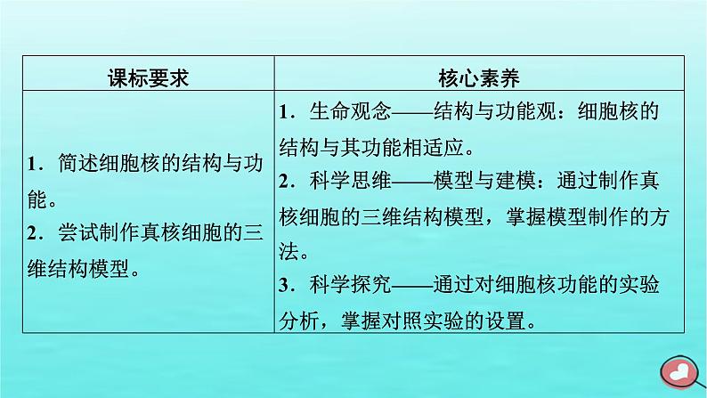 新教材2023年高中生物第3章细胞的基本结构第3节细胞核的结构和功能（课件+夯基提能作业）新人教版必修103