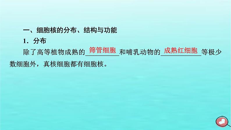 新教材2023年高中生物第3章细胞的基本结构第3节细胞核的结构和功能（课件+夯基提能作业）新人教版必修106