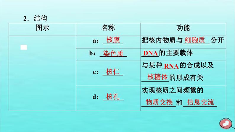 新教材2023年高中生物第3章细胞的基本结构第3节细胞核的结构和功能（课件+夯基提能作业）新人教版必修107