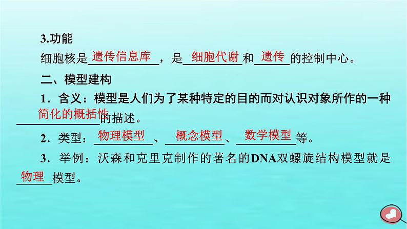 新教材2023年高中生物第3章细胞的基本结构第3节细胞核的结构和功能（课件+夯基提能作业）新人教版必修108