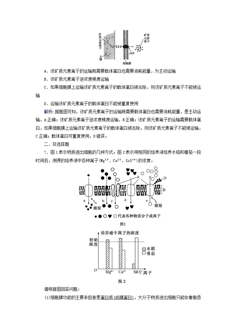 新教材2023年高中生物第4章细胞的物质输入和输出第2节主动运输与胞吞胞吐夯基提能作业新人教版必修1第3页