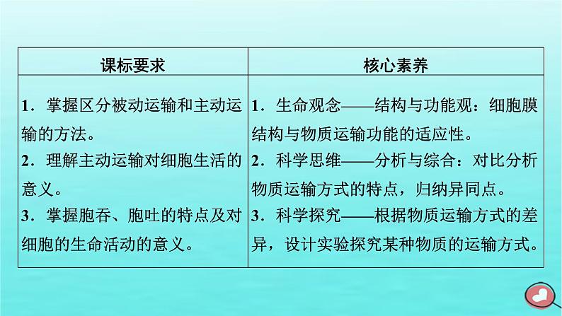 新教材2023年高中生物第4章细胞的物质输入和输出第2节主动运输与胞吞胞吐课件新人教版必修1第3页