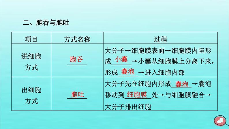 新教材2023年高中生物第4章细胞的物质输入和输出第2节主动运输与胞吞胞吐课件新人教版必修1第7页