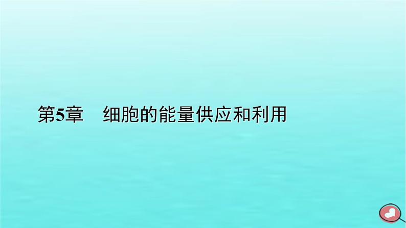 新教材2023年高中生物第5章细胞的能量供应和利用第1节降低化学反应活化能的酶（课件+夯基提能作业）新人教版必修101