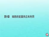 新教材2023年高中生物第5章细胞的能量供应和利用第1节降低化学反应活化能的酶（课件+夯基提能作业）新人教版必修1