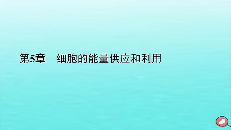 新教材2023年高中生物第5章细胞的能量供应和利用第1节降低化学反应活化能的酶（课件+夯基提能作业）新人教版必修101