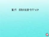 新教材2023年高中生物第5章细胞的能量供应和利用第2节细胞的能量“货币”ATP（课件+夯基提能作业）新人教版必修1