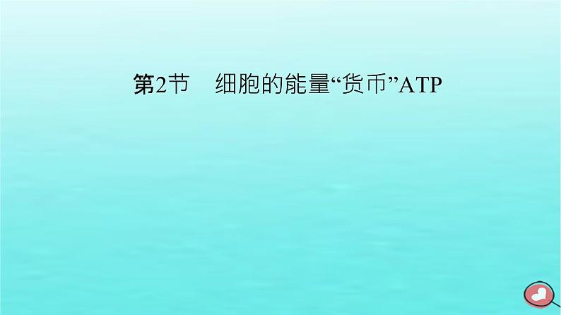 新教材2023年高中生物第5章细胞的能量供应和利用第2节细胞的能量“货币”ATP（课件+夯基提能作业）新人教版必修102