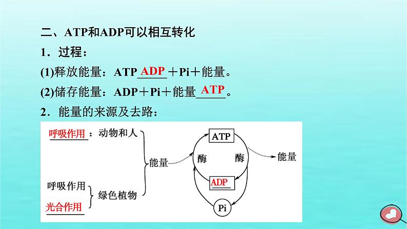 新教材2023年高中生物第5章细胞的能量供应和利用第2节细胞的能量“货币”ATP（课件+夯基提能作业）新人教版必修107