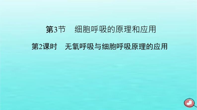 新教材2023年高中生物第5章细胞的能量供应和利用第3节细胞呼吸的原理和应用第2课时无氧呼吸与细胞呼吸原理的应用（课件+夯基提能作业）新人教版必修102