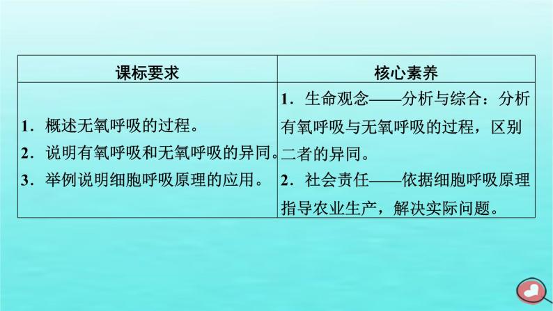 新教材2023年高中生物第5章细胞的能量供应和利用第3节细胞呼吸的原理和应用第2课时无氧呼吸与细胞呼吸原理的应用（课件+夯基提能作业）新人教版必修103