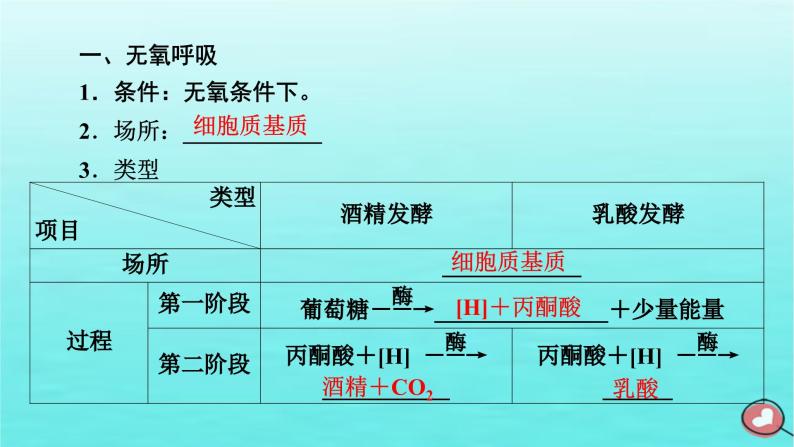 新教材2023年高中生物第5章细胞的能量供应和利用第3节细胞呼吸的原理和应用第2课时无氧呼吸与细胞呼吸原理的应用（课件+夯基提能作业）新人教版必修106