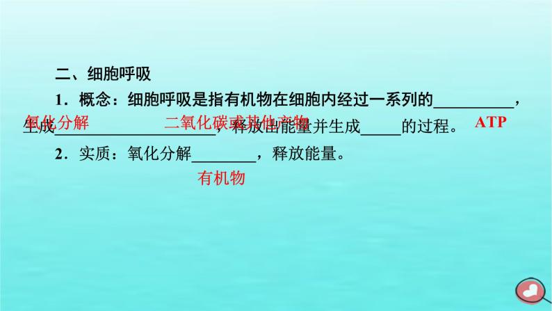 新教材2023年高中生物第5章细胞的能量供应和利用第3节细胞呼吸的原理和应用第2课时无氧呼吸与细胞呼吸原理的应用（课件+夯基提能作业）新人教版必修108