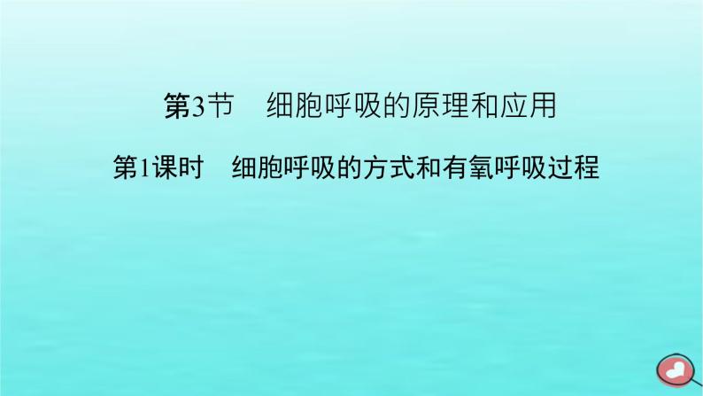 新教材2023年高中生物第5章细胞的能量供应和利用第3节细胞呼吸的原理和应用第2课时无氧呼吸与细胞呼吸原理的应用（课件+夯基提能作业）新人教版必修102