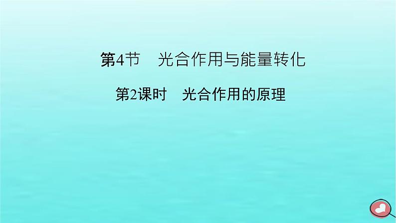 新教材2023年高中生物第5章细胞的能量供应和利用第4节光合作用与能量转化（课件+夯基提能作业）新人教版必修102