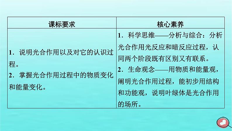 新教材2023年高中生物第5章细胞的能量供应和利用第4节光合作用与能量转化（课件+夯基提能作业）新人教版必修103