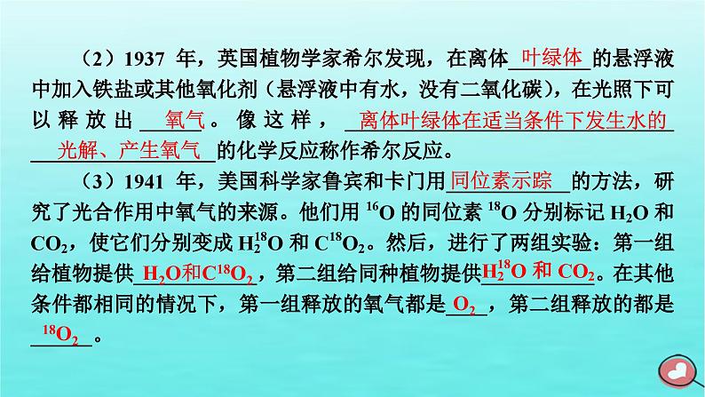 新教材2023年高中生物第5章细胞的能量供应和利用第4节光合作用与能量转化（课件+夯基提能作业）新人教版必修107