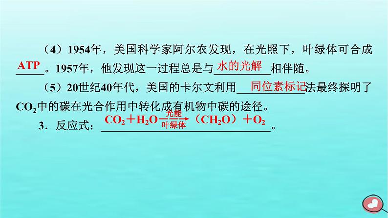 新教材2023年高中生物第5章细胞的能量供应和利用第4节光合作用与能量转化（课件+夯基提能作业）新人教版必修108