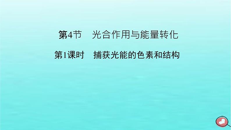 新教材2023年高中生物第5章细胞的能量供应和利用第4节光合作用与能量转化（课件+夯基提能作业）新人教版必修102