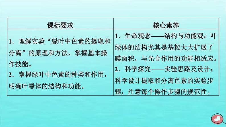 新教材2023年高中生物第5章细胞的能量供应和利用第4节光合作用与能量转化（课件+夯基提能作业）新人教版必修103