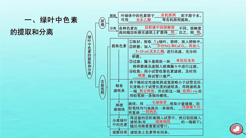 新教材2023年高中生物第5章细胞的能量供应和利用第4节光合作用与能量转化（课件+夯基提能作业）新人教版必修106