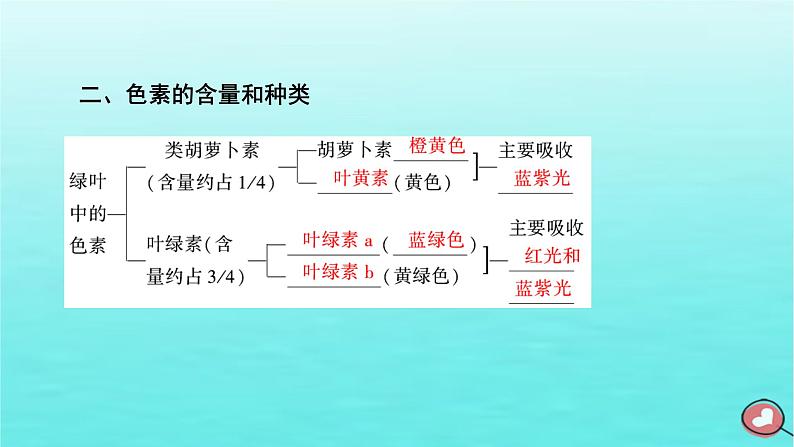 新教材2023年高中生物第5章细胞的能量供应和利用第4节光合作用与能量转化（课件+夯基提能作业）新人教版必修107