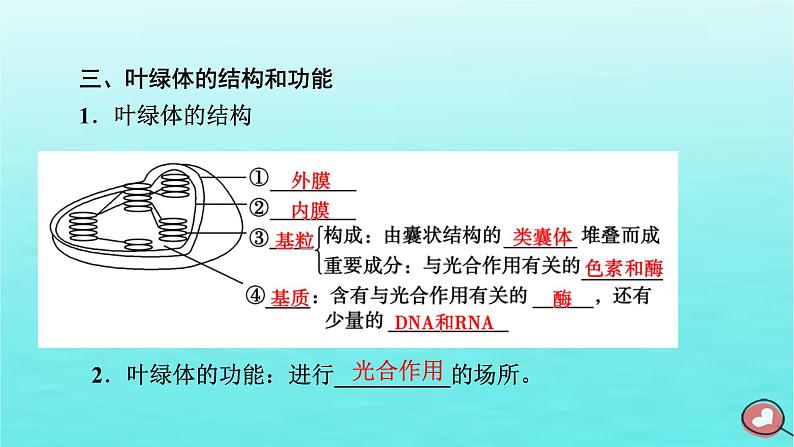 新教材2023年高中生物第5章细胞的能量供应和利用第4节光合作用与能量转化（课件+夯基提能作业）新人教版必修108