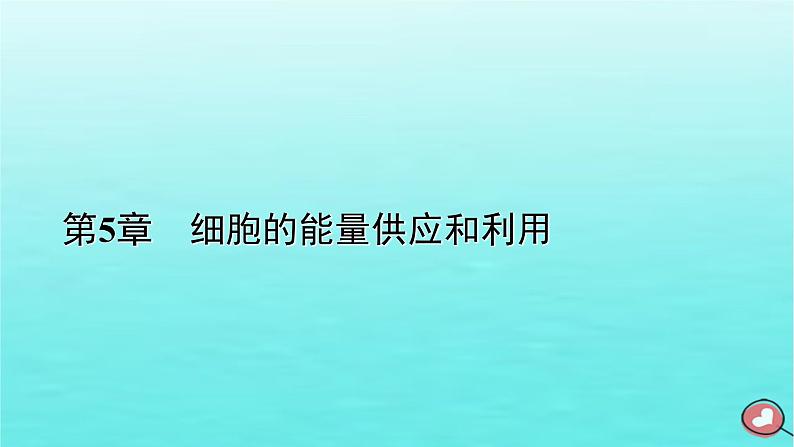 新教材2023年高中生物第5章细胞的能量供应和利用第4节光合作用与能量转化（课件+夯基提能作业）新人教版必修101