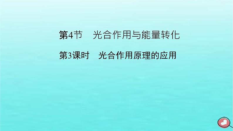 新教材2023年高中生物第5章细胞的能量供应和利用第4节光合作用与能量转化（课件+夯基提能作业）新人教版必修102