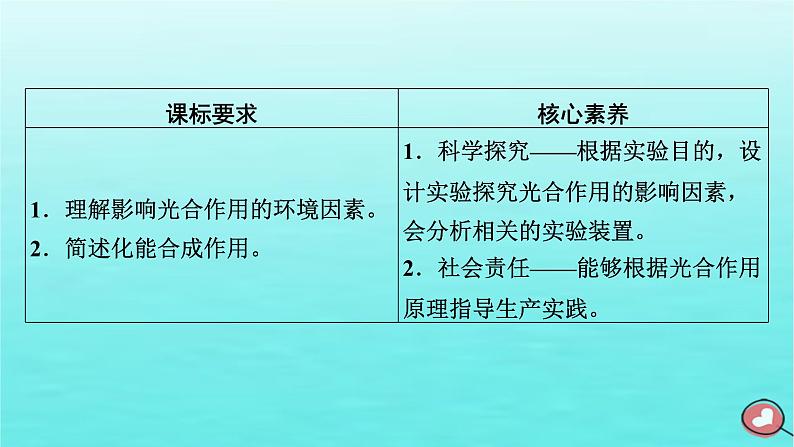 新教材2023年高中生物第5章细胞的能量供应和利用第4节光合作用与能量转化（课件+夯基提能作业）新人教版必修103