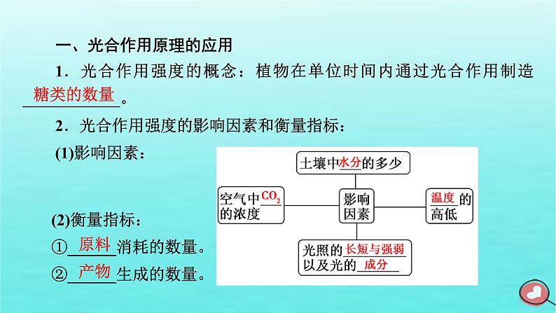 新教材2023年高中生物第5章细胞的能量供应和利用第4节光合作用与能量转化（课件+夯基提能作业）新人教版必修106