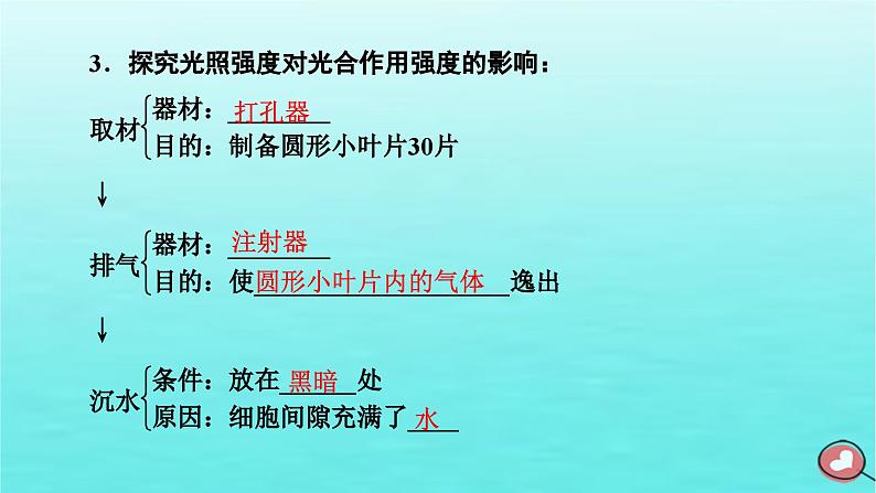 新教材2023年高中生物第5章细胞的能量供应和利用第4节光合作用与能量转化（课件+夯基提能作业）新人教版必修107