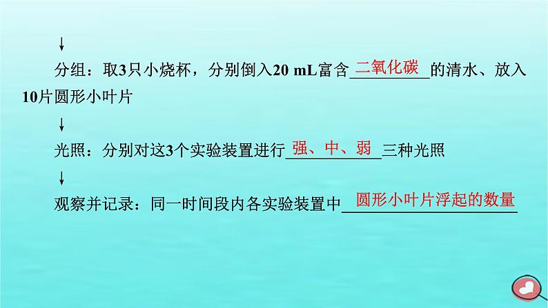 新教材2023年高中生物第5章细胞的能量供应和利用第4节光合作用与能量转化（课件+夯基提能作业）新人教版必修108