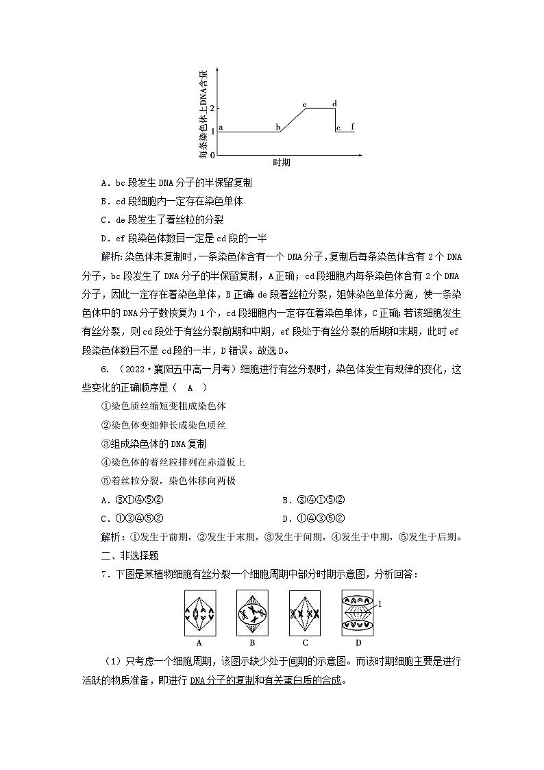 新教材2023年高中生物第6章细胞的生命历程第1节细胞的增殖（课件+夯基提能作业）新人教版必修103