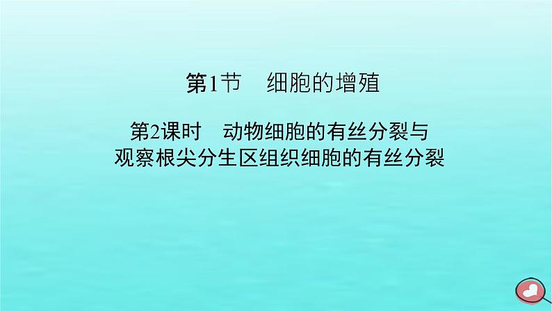 新教材2023年高中生物第6章细胞的生命历程第1节细胞的增殖（课件+夯基提能作业）新人教版必修102