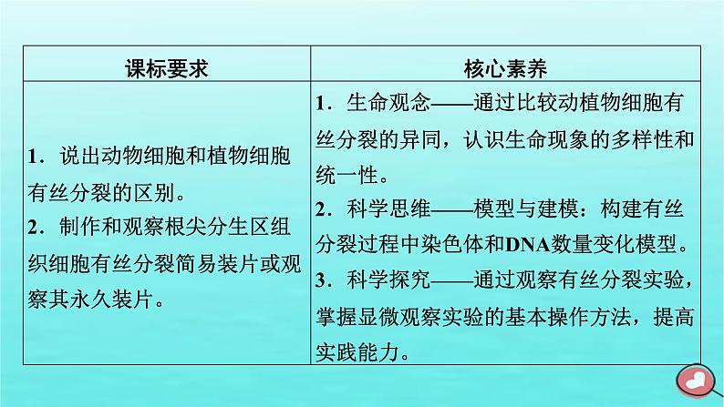 新教材2023年高中生物第6章细胞的生命历程第1节细胞的增殖（课件+夯基提能作业）新人教版必修103