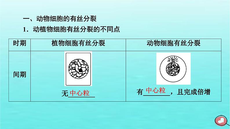 新教材2023年高中生物第6章细胞的生命历程第1节细胞的增殖（课件+夯基提能作业）新人教版必修106