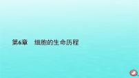 人教版 (2019)必修1《分子与细胞》第6章 细胞的生命历程第1节 细胞的增殖作业课件ppt