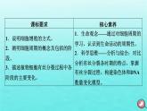 新教材2023年高中生物第6章细胞的生命历程第1节细胞的增殖（课件+夯基提能作业）新人教版必修1