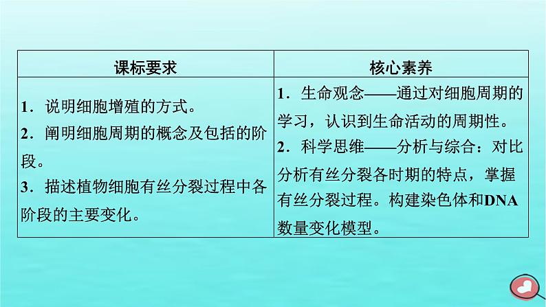 新教材2023年高中生物第6章细胞的生命历程第1节细胞的增殖（课件+夯基提能作业）新人教版必修103