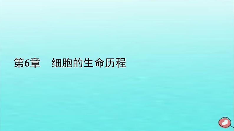 新教材2023年高中生物第6章细胞的生命历程第2节细胞的分化（课件+夯基提能作业）新人教版必修101