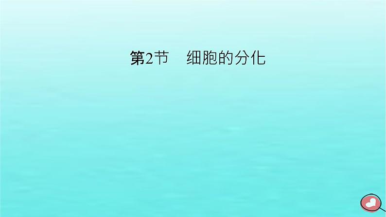 新教材2023年高中生物第6章细胞的生命历程第2节细胞的分化（课件+夯基提能作业）新人教版必修102