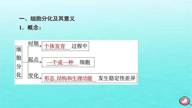 新教材2023年高中生物第6章细胞的生命历程第2节细胞的分化（课件+夯基提能作业）新人教版必修106