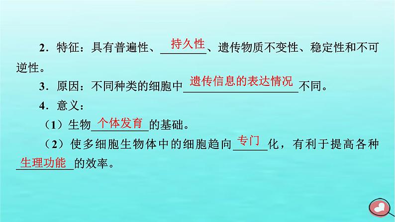 新教材2023年高中生物第6章细胞的生命历程第2节细胞的分化（课件+夯基提能作业）新人教版必修107