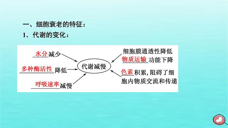 新教材2023年高中生物第6章细胞的生命历程第3节细胞的衰老和死亡（课件+夯基提能作业）新人教版必修106