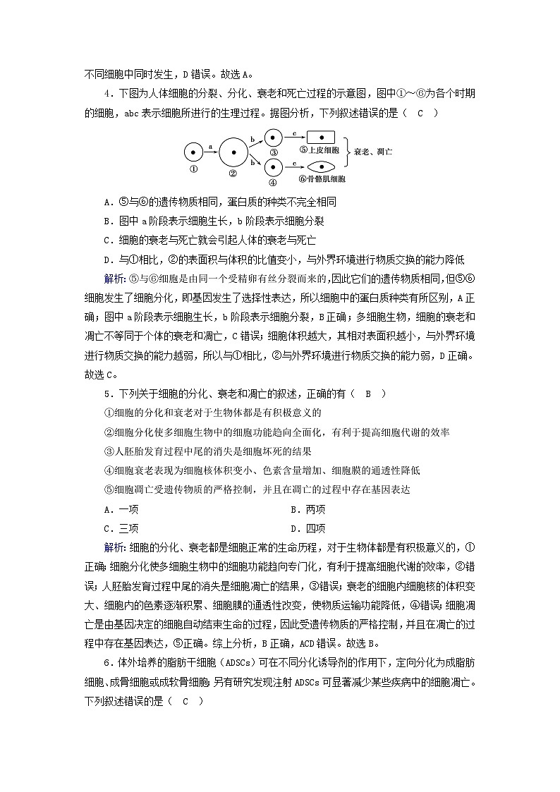 新教材2023年高中生物第6章细胞的生命历程第3节细胞的衰老和死亡（课件+夯基提能作业）新人教版必修102